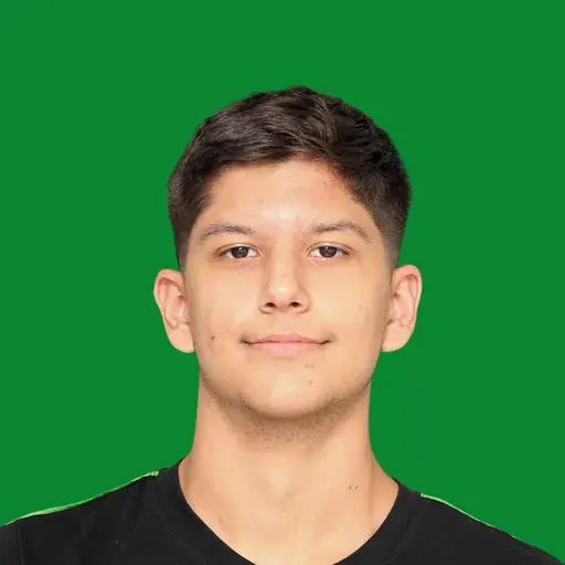 João Paulo Ferlin Alves